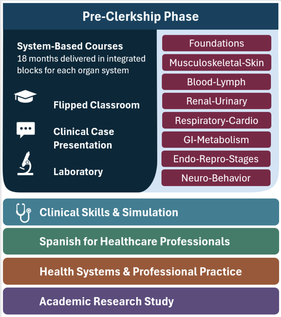 The Pre-Clerkship Phase is delivered over 18 months in integrated blocks for each organ system supported by flipped classroom, clinical case presentations, and laboratory sessions. MS1 courses include Foundations, Musculoskeletal-Skin, Blood-Lymph, Renal-Urinary, Respiratory-Cardiovascular, Gastrointestinal-Metabolism. MS2 includes Endocrine- Reproduction-Stages of Life, then Neuroscience-Behavior. The phase includes components in Clinical Skills and Simulation, Spanish for Healthcare Professionals, Health Systems and Professional Practice, and Academic Research Study. 