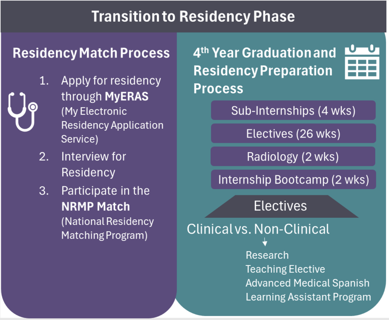 In the Transition to Residency Phase, the Match Process includes 1. Applying for residency through MyERAS (My Electronic Residency Application Service), 2. Interview for Residency, and 3. Participate in the NRMP Match (National Residency Matching Program). 4th Year Graduation and Residency Preparation process includes 4 weeks of sub-internships, 2 weeks of radiology, 2 weeks of internship bootcamp, and 26 weeks of electives. Electives include both clinical and non-clinical electives, such as research, teaching, advanced medical Spanish, or learning assistant programs.